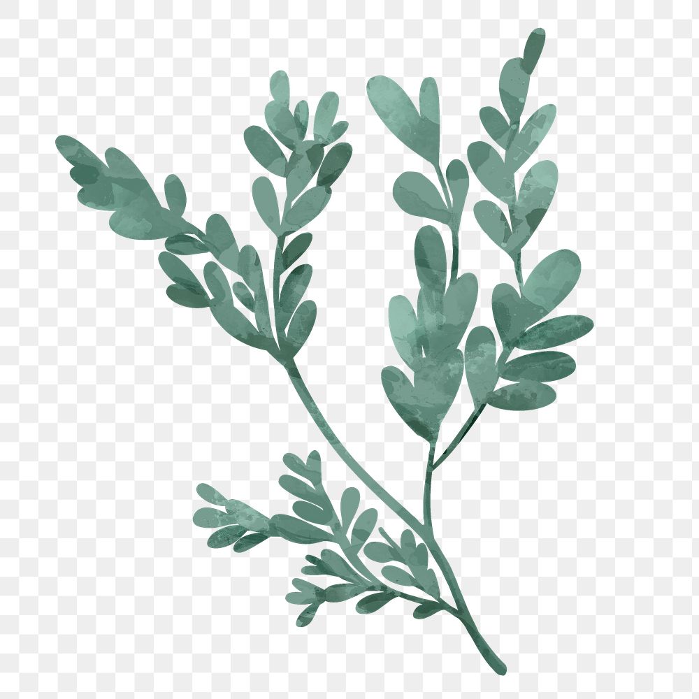 Png plant leaf design element