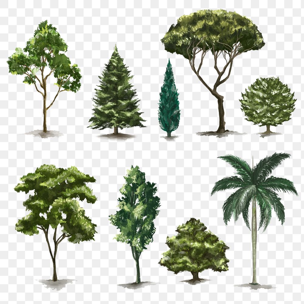 Png tree design element set nature painting 