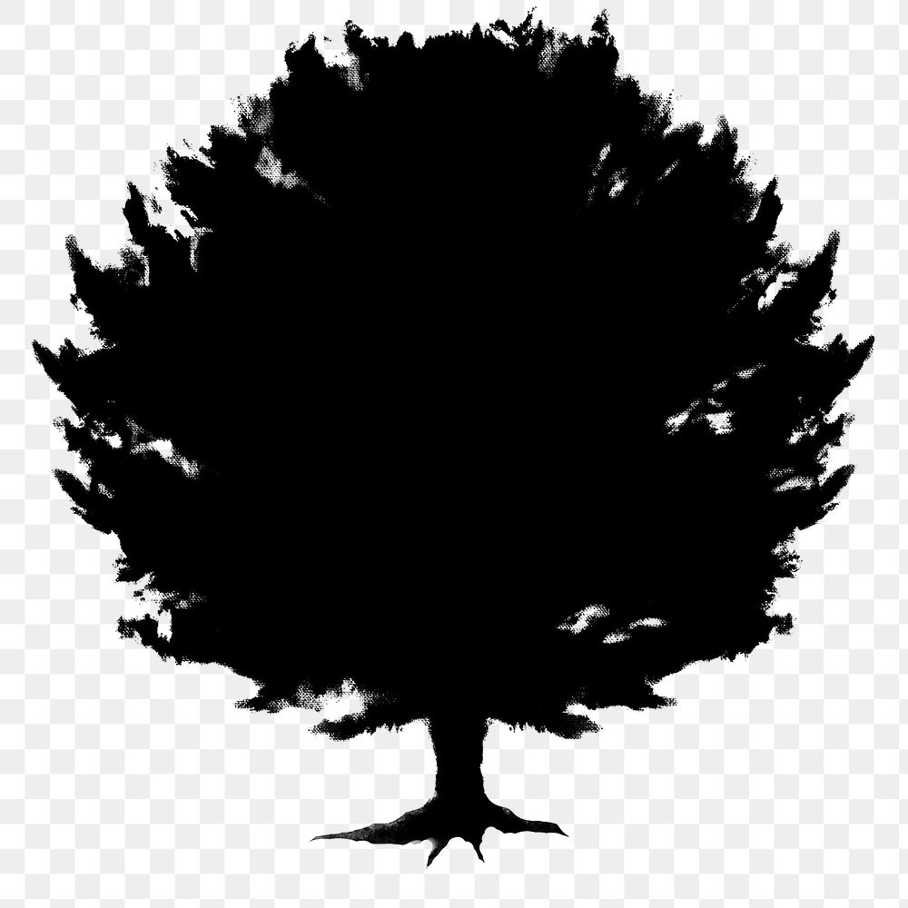 Png black tree design element Yew  tree