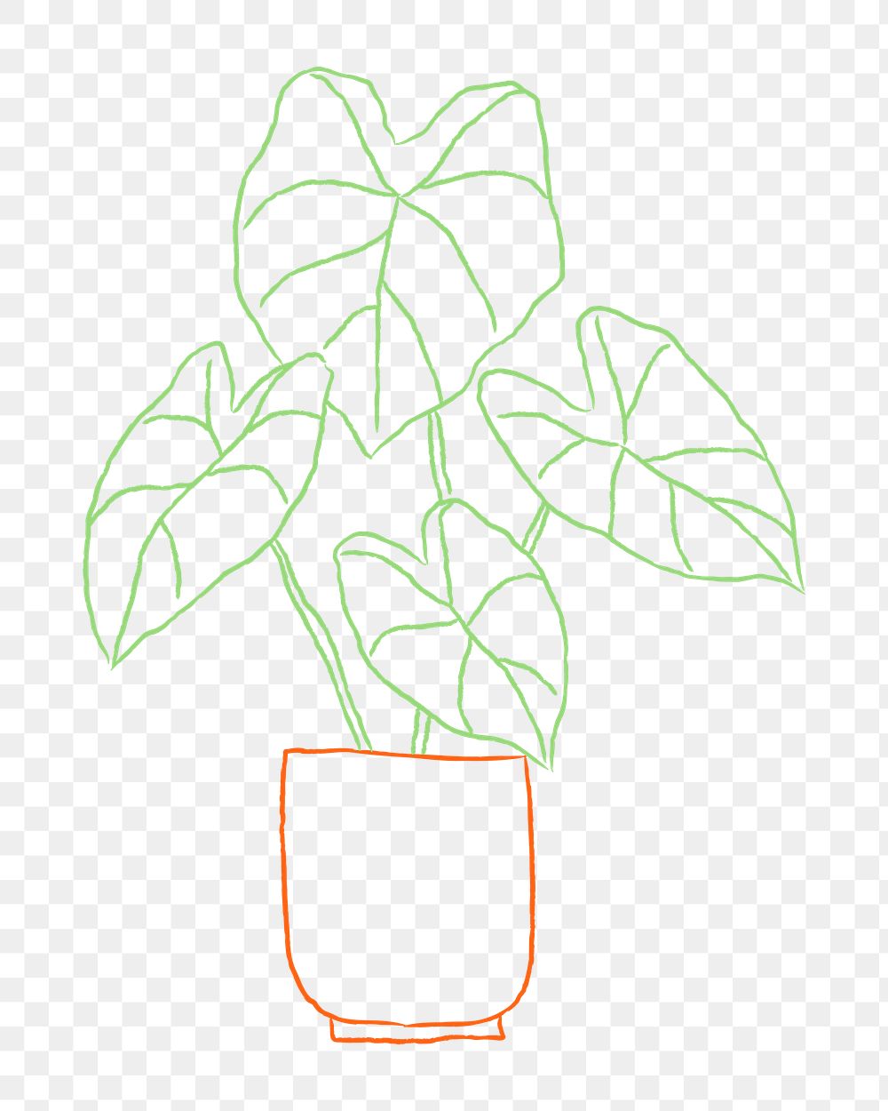 Potted plant png houseplant doodle