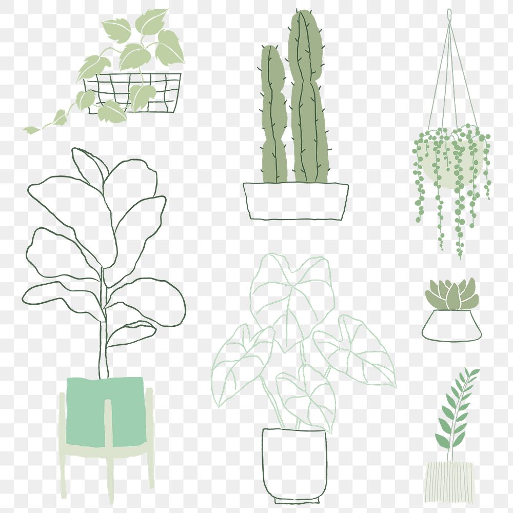 Houseplant png sticker doodle set