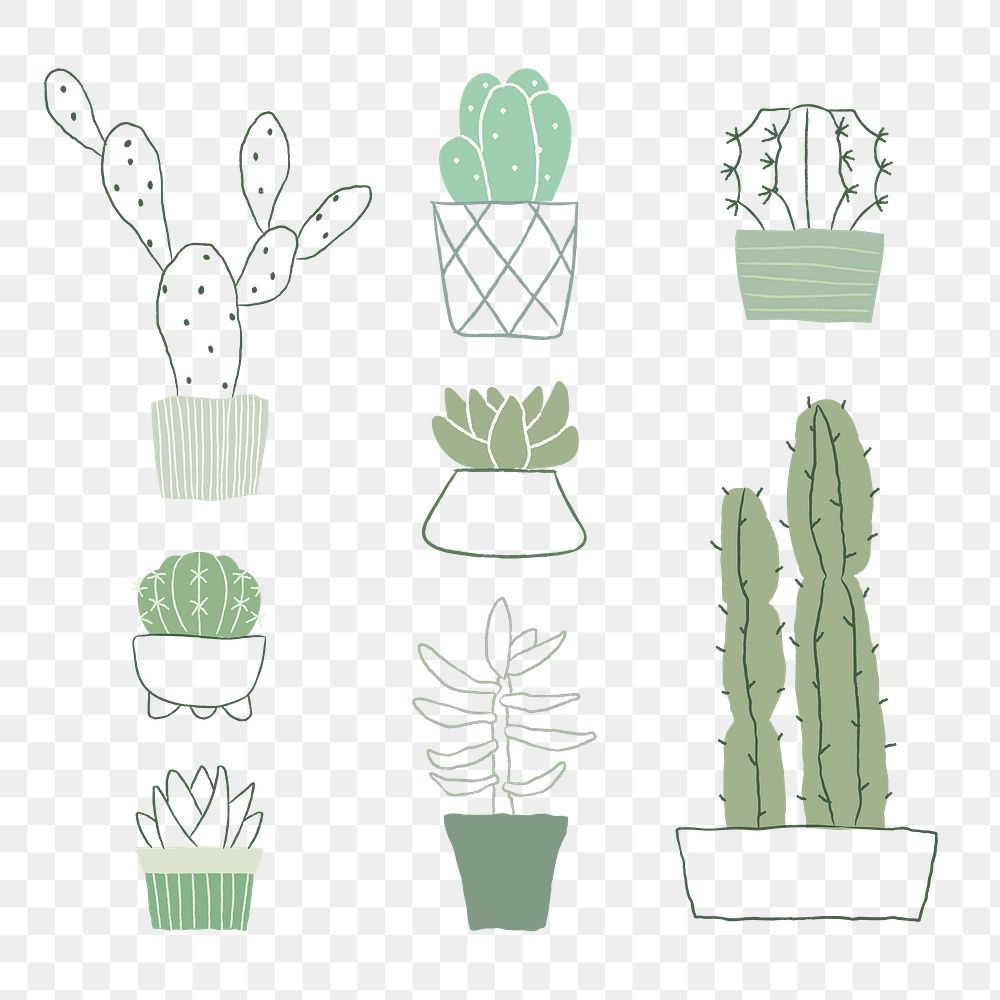 Green png houseplant cactus and succulent set