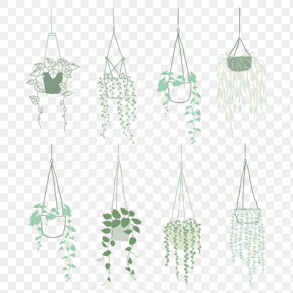 Hanging plant png sticker set