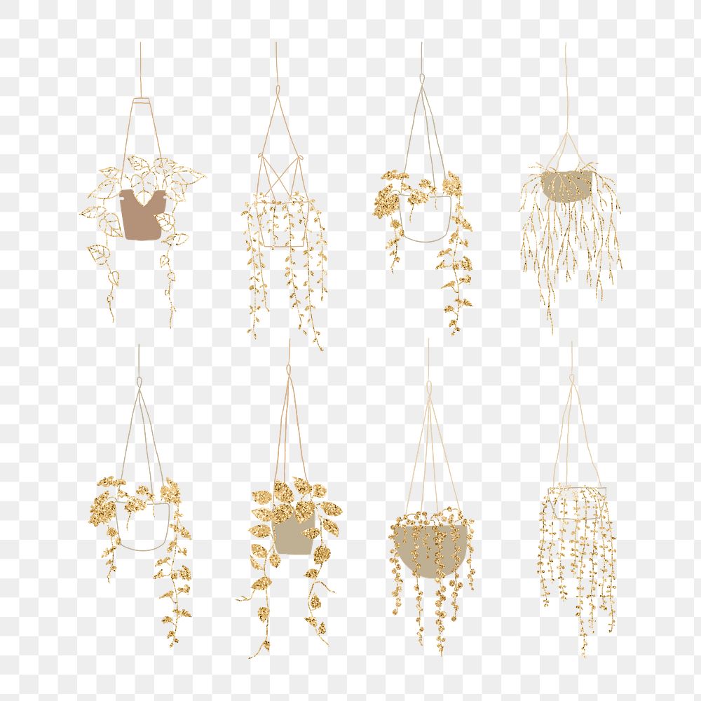 Luxury gold png hanging plant set