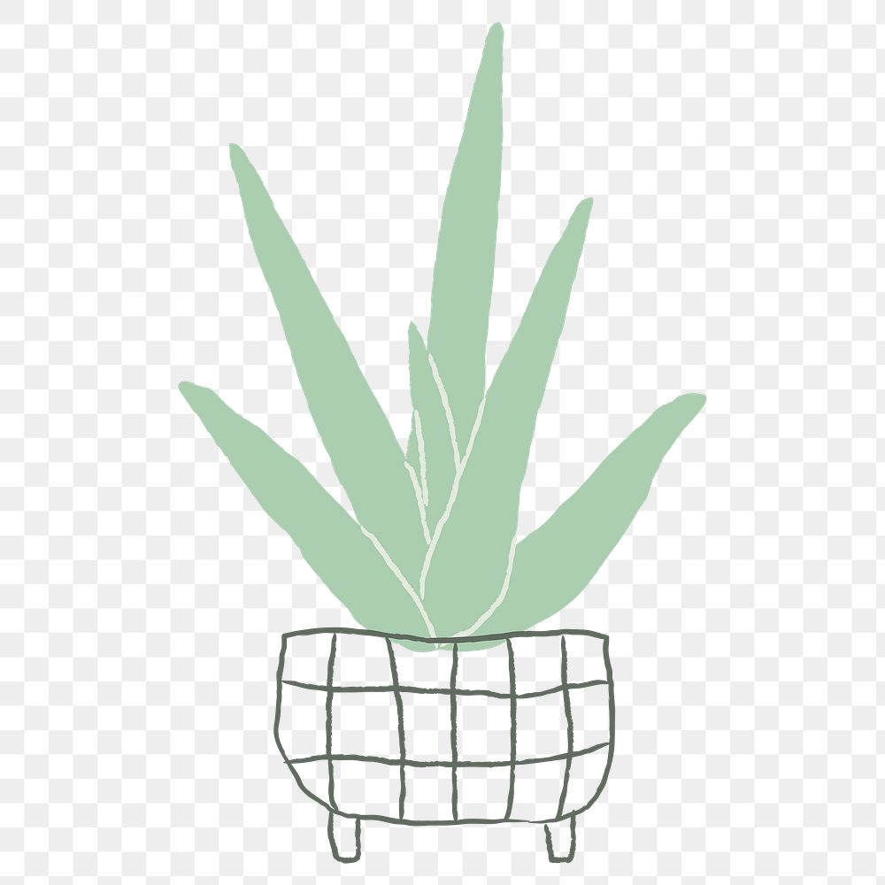 Aloe vera png houseplant succulent doodle