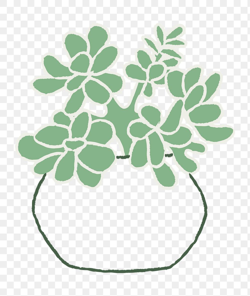 Potted jade plant png houseplant doodle