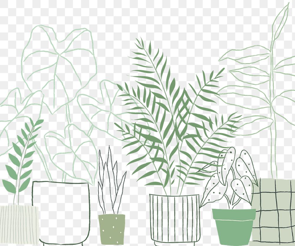 Indoor potted plants png background