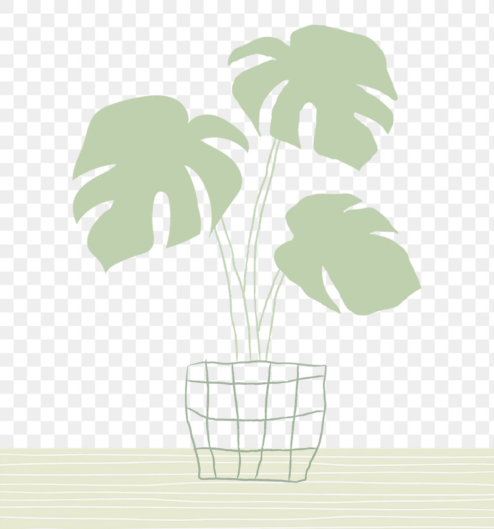 Indoor houseplant png monstera tropical leaf 