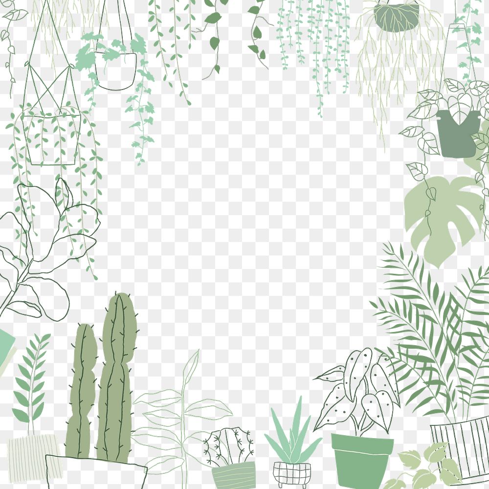 Plant frame png in hand drawn doodle style