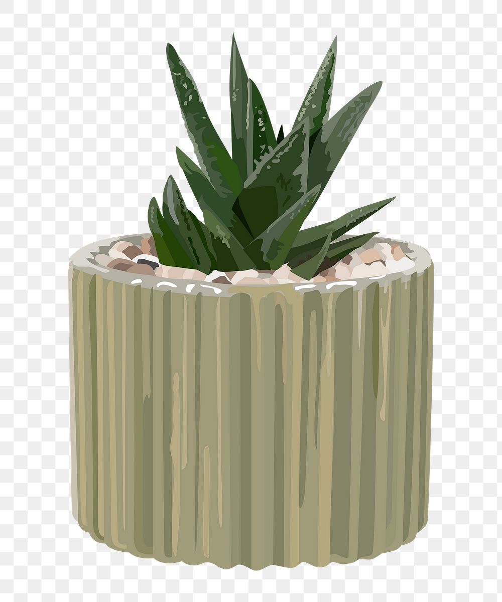 Houseplant PNG, indoor aloe vera plant