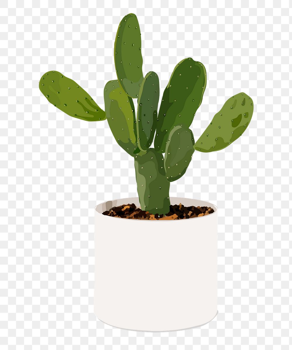 Potted plant PNG sticker, Indian fig prickly