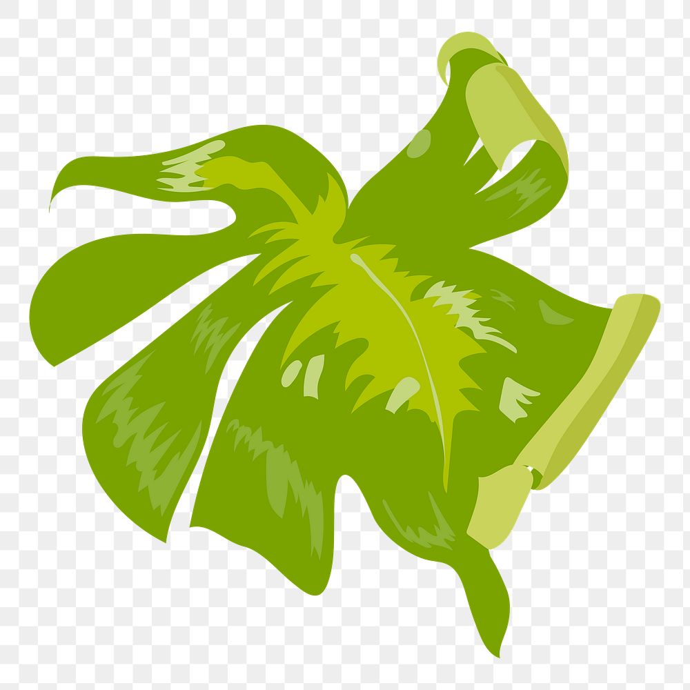 Monstera PNG clipart, tropical leaf image