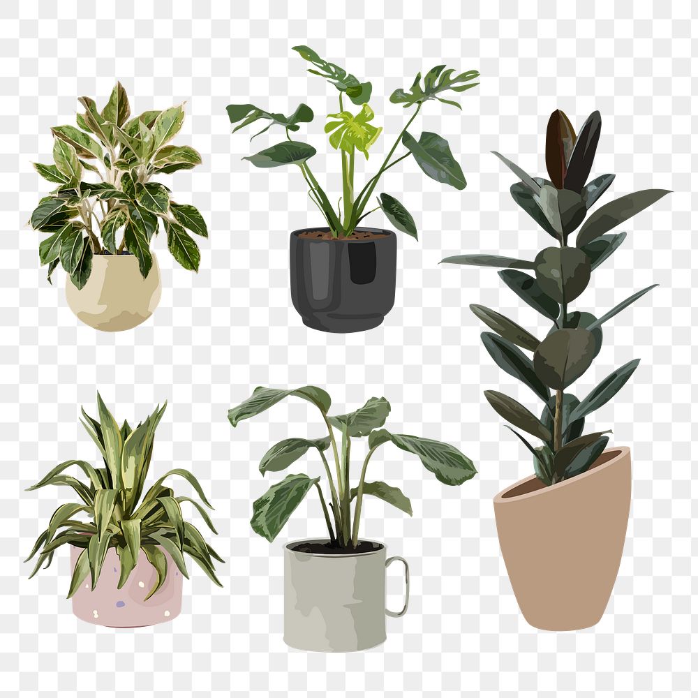 Houseplant PNG clip art set, home decoration