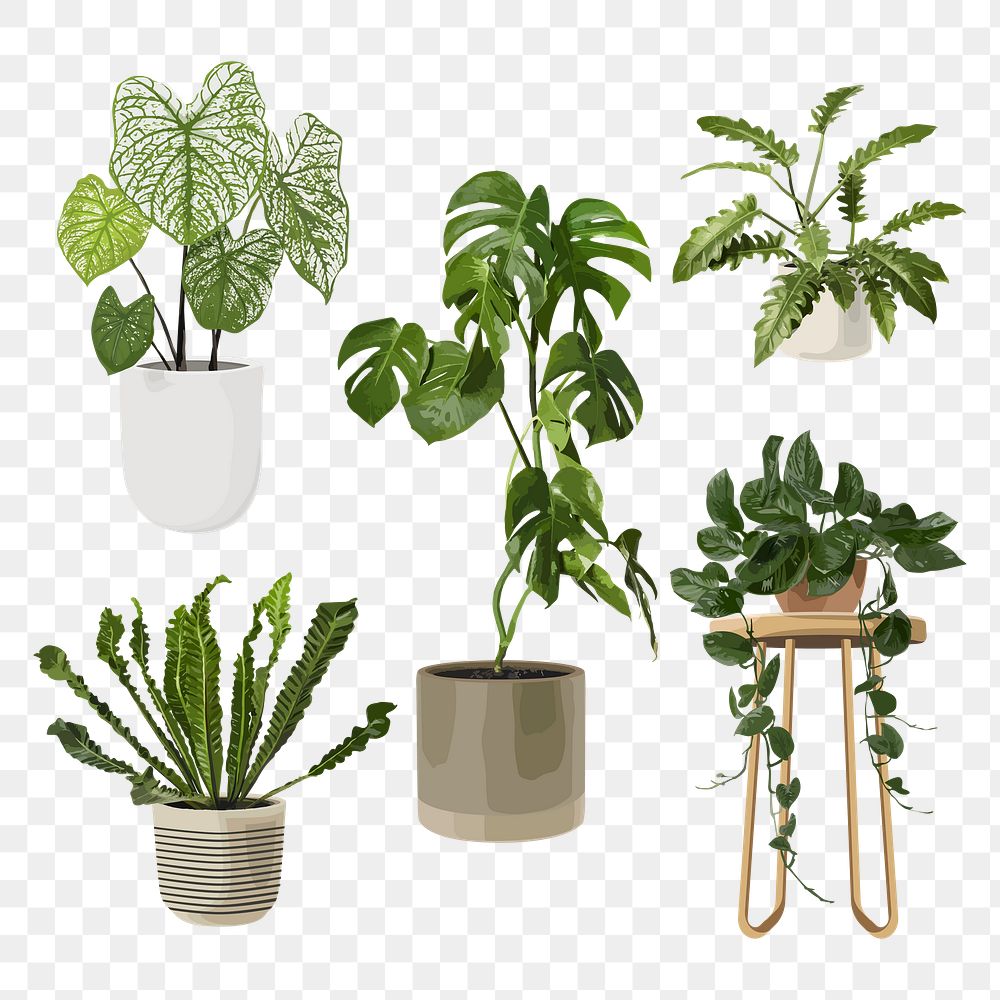 Potted plant PNG clip art set, home decoration