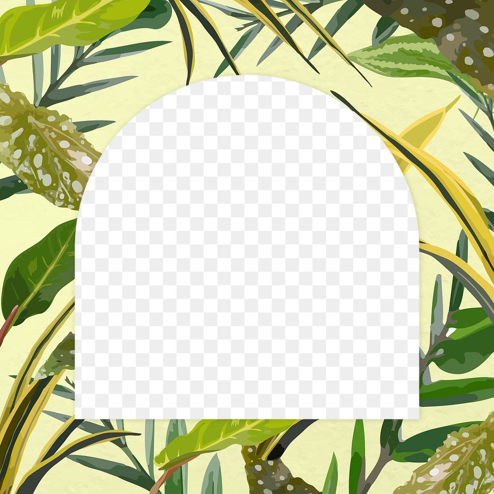 Tropical frame png background, green leaf border