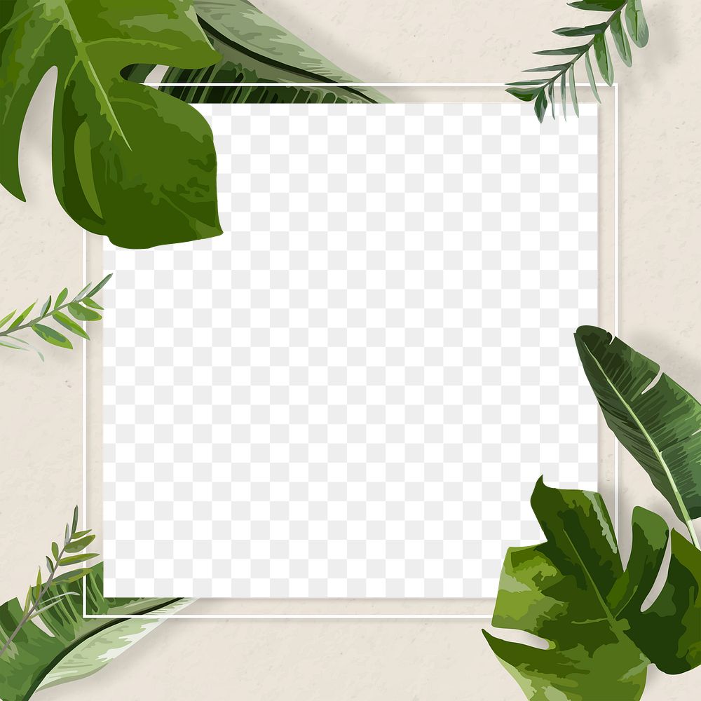 Leaf frame PNG clipart border, green Monstera plant transparent background