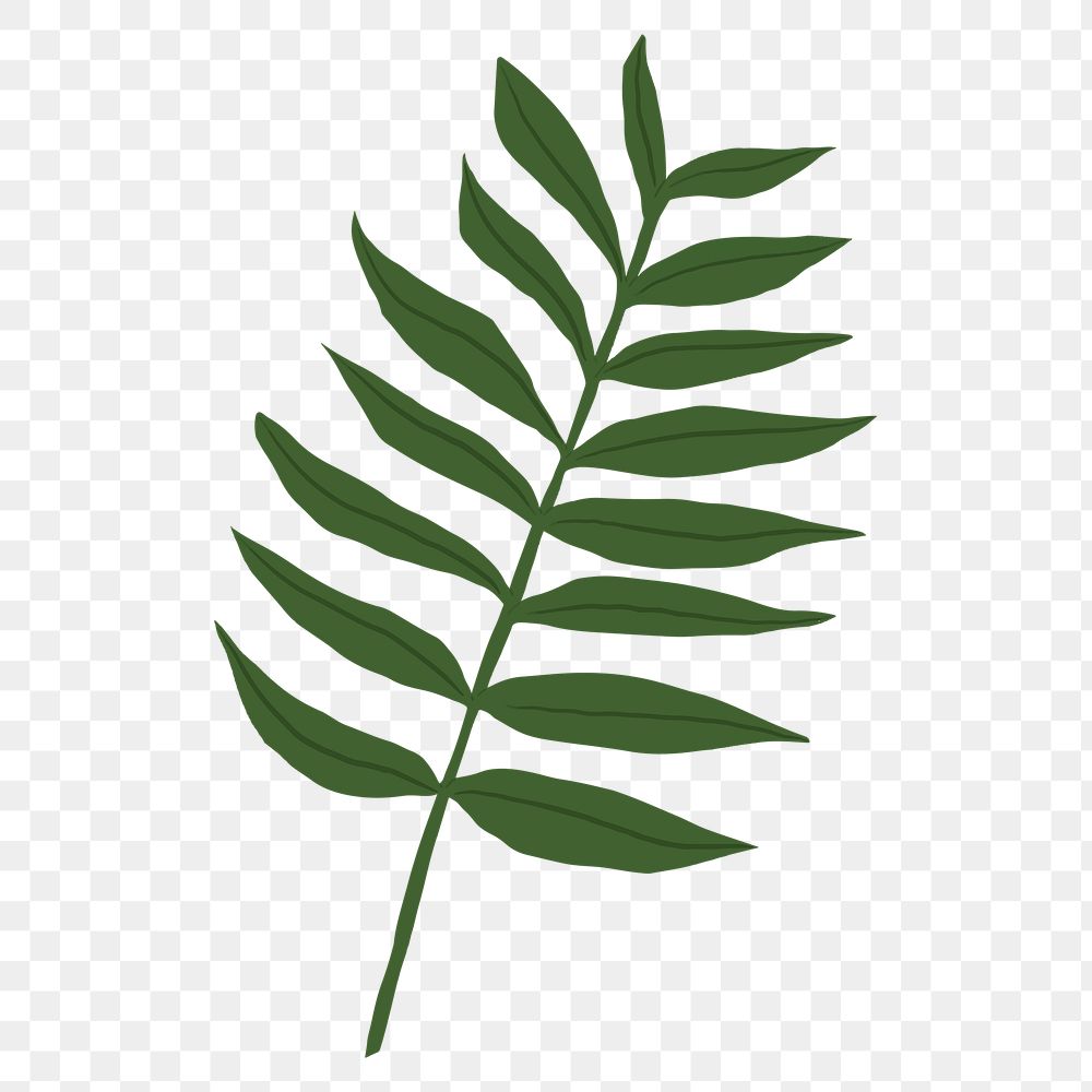 PNG gern leaf sticker plant botanical illustration