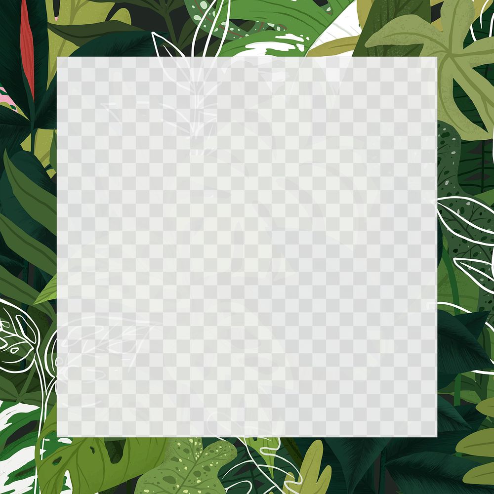 PNG frame green tropical leaf botanical illustration
