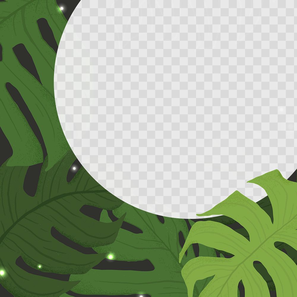 Frame PNG monstera tropical leaf botanical illustration