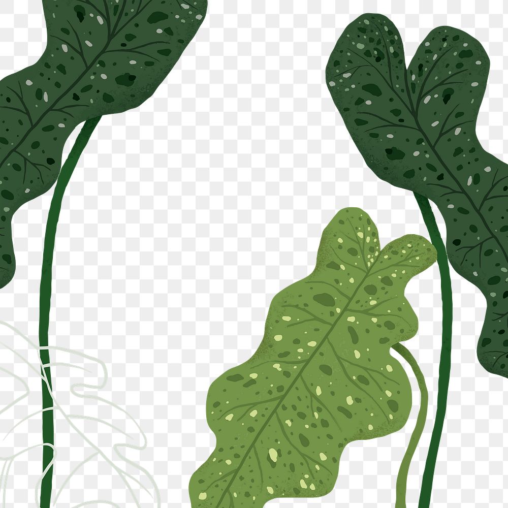 PNG philodendron plant sticker botanical illustration