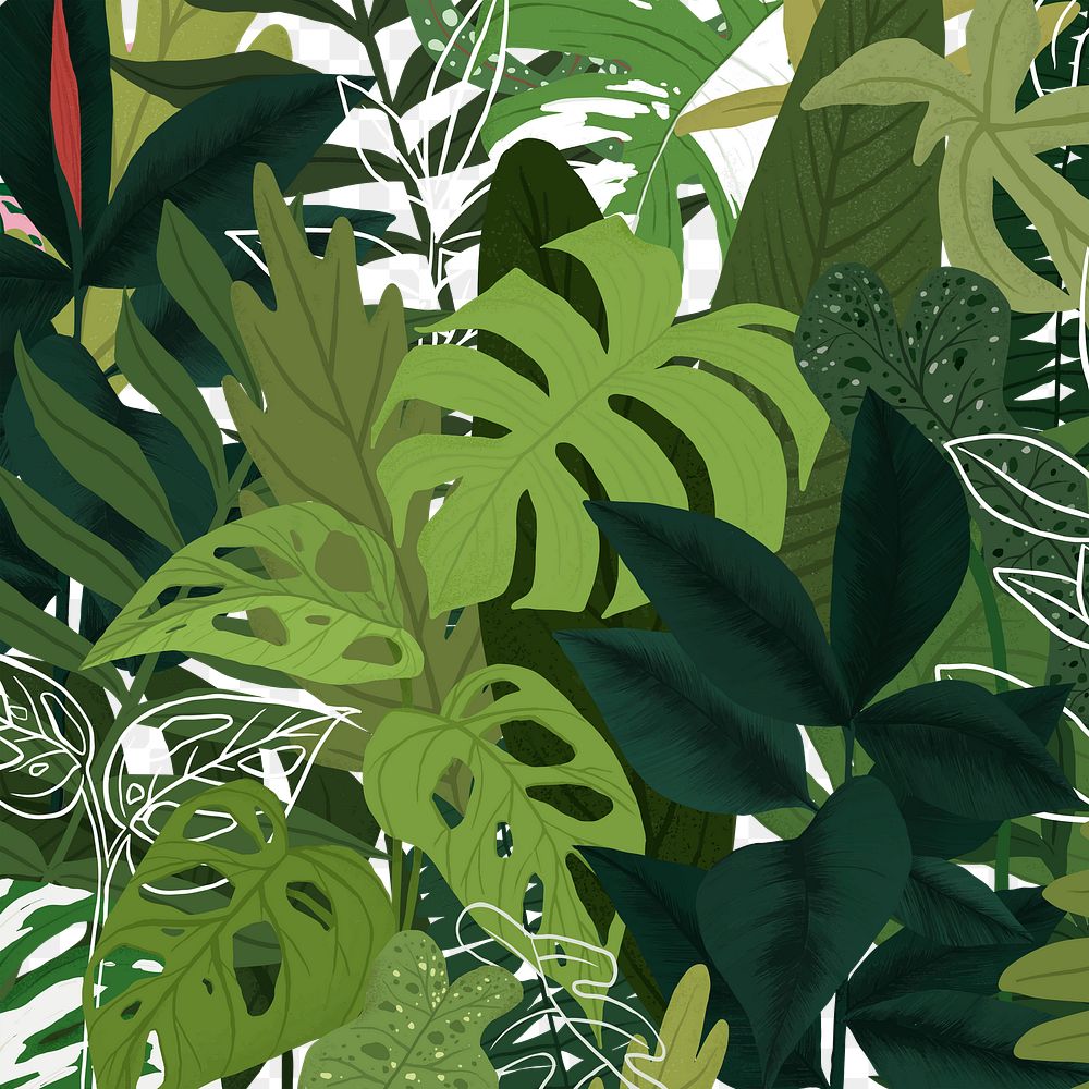 Background PNG green tropical illustration