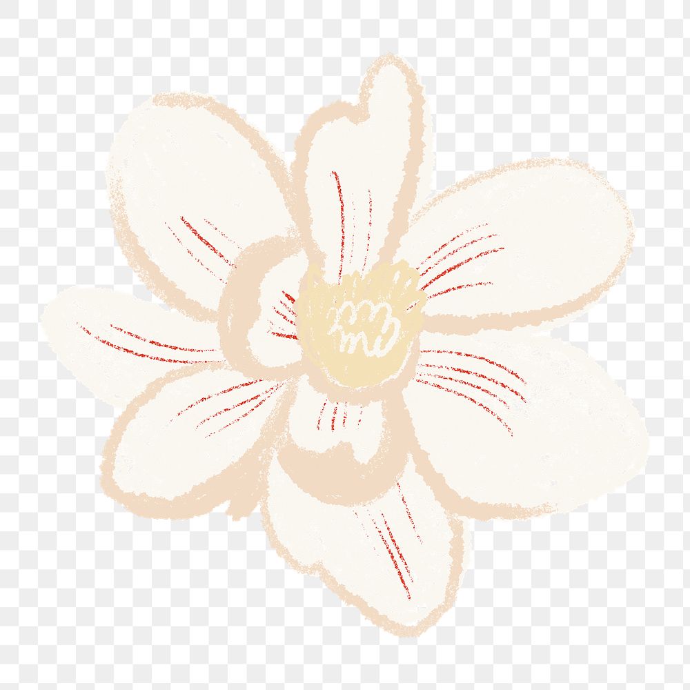 Magnolia png flower sticker white illustration