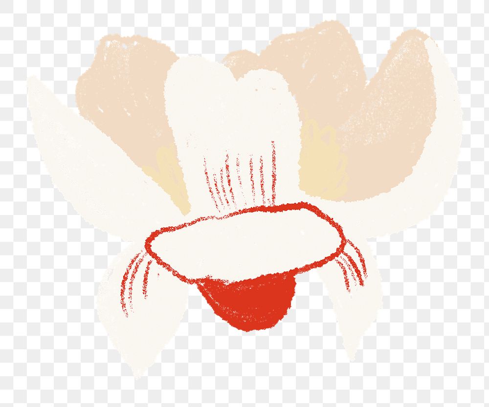 Magnolia png flower sticker white illustration