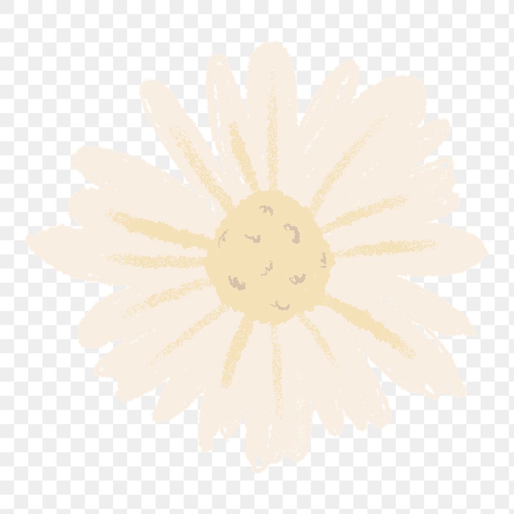 Daisy png flower sticker white illustration