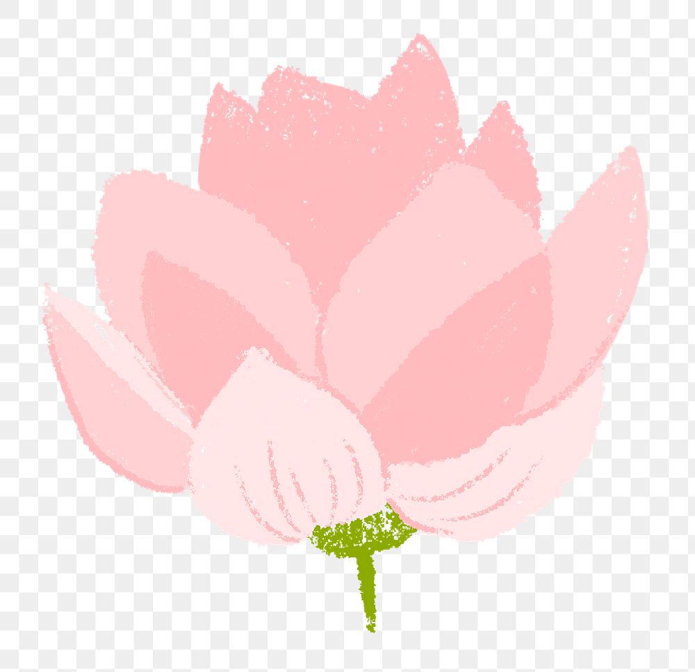 Lotus png flower sticker pink illustration