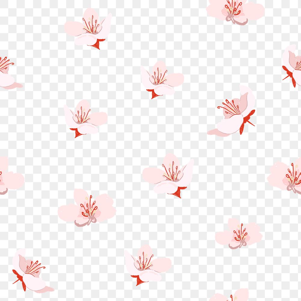 Flower png cherry blossom pattern in pink on transparent background