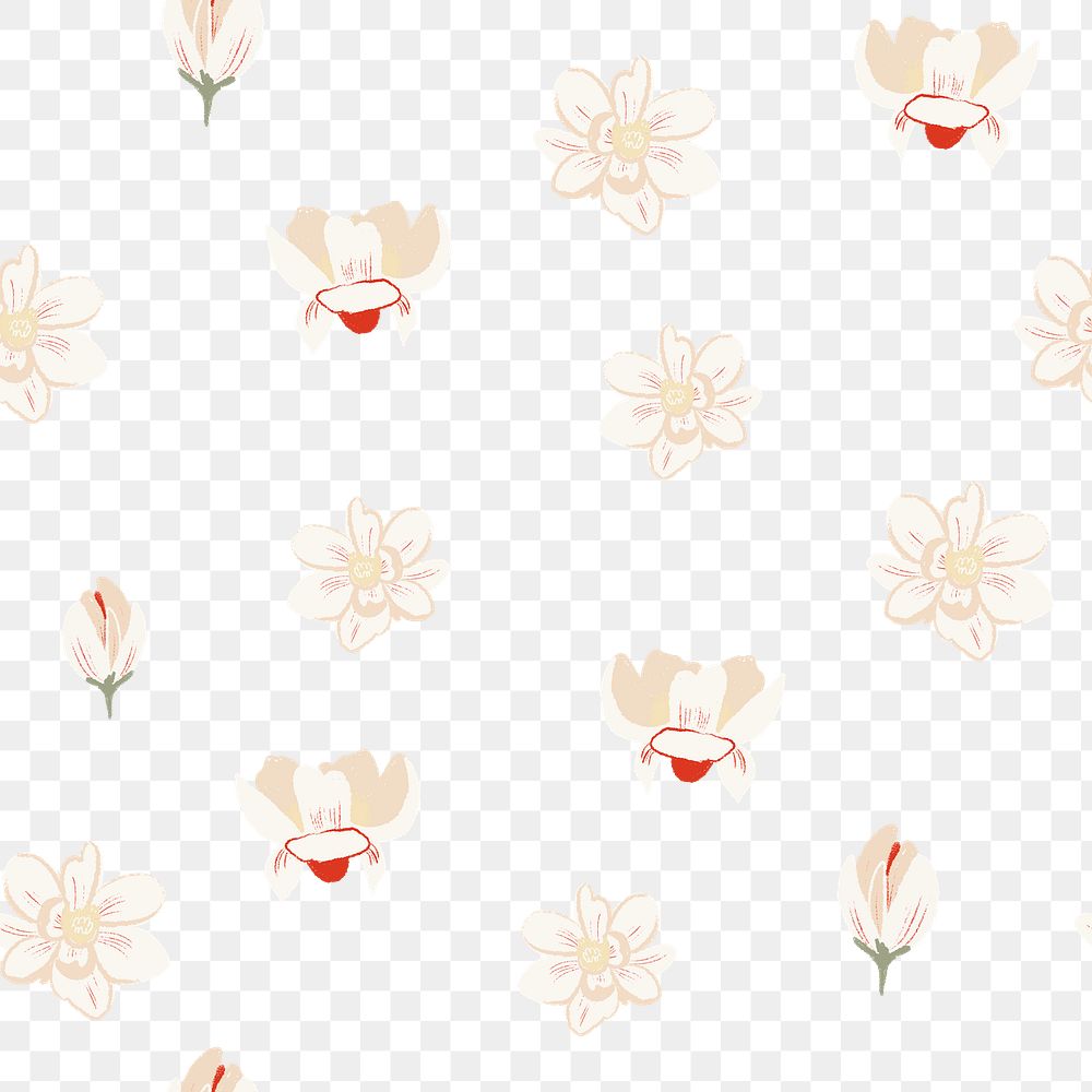 Magnolia png flower pattern in white on transparent background