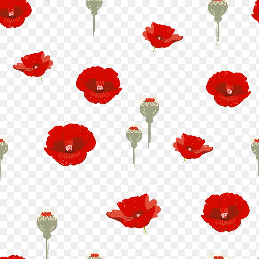 Poppy png flower pattern in red on transparent background