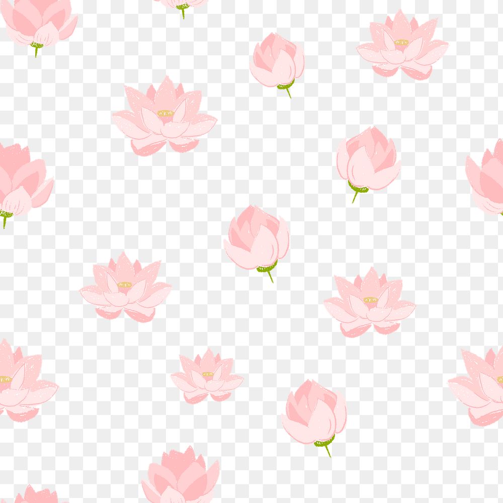 Lotus png flower pattern in pink on transparent background