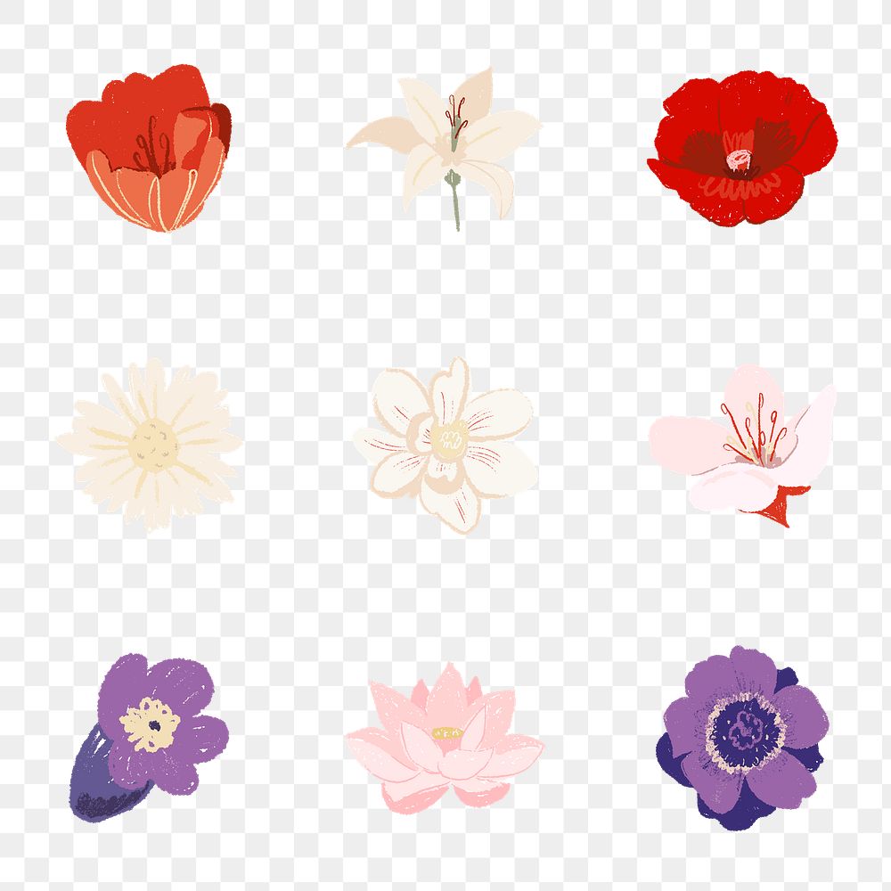 Flower png stickers colorful illustration set