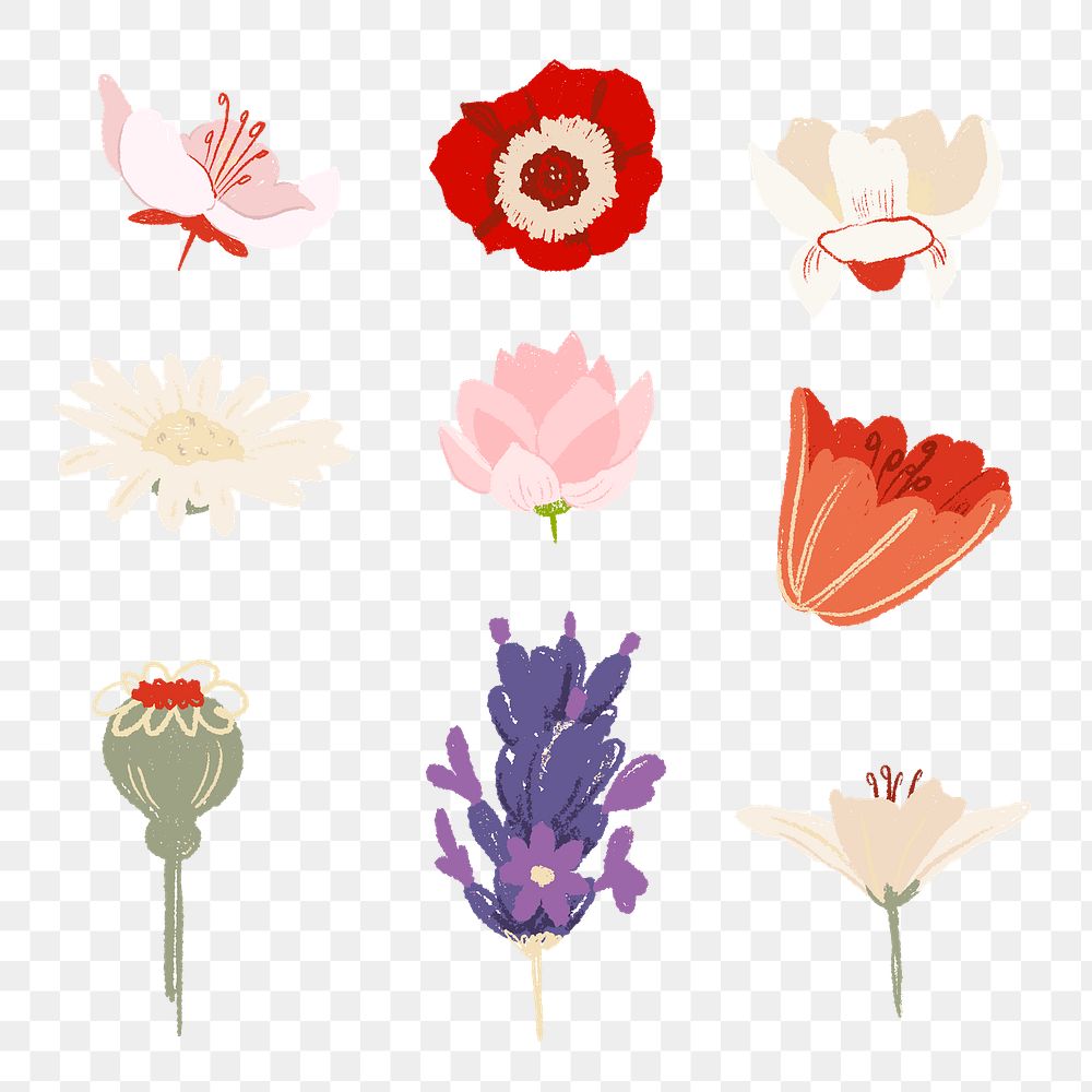 Flower png stickers colorful illustration set
