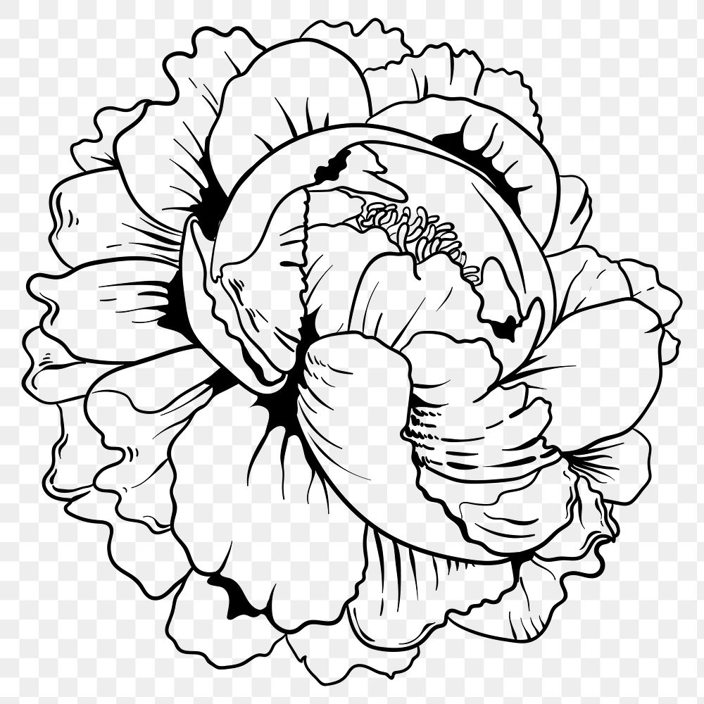 Vintage old school flash tattoo outline rose png icon