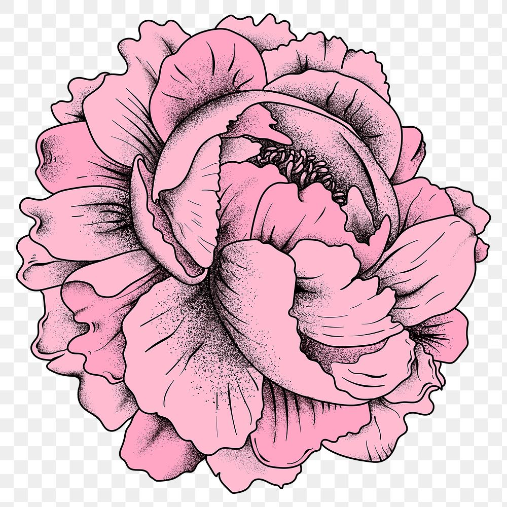 Vintage old school flash tattoo pink rose png icon