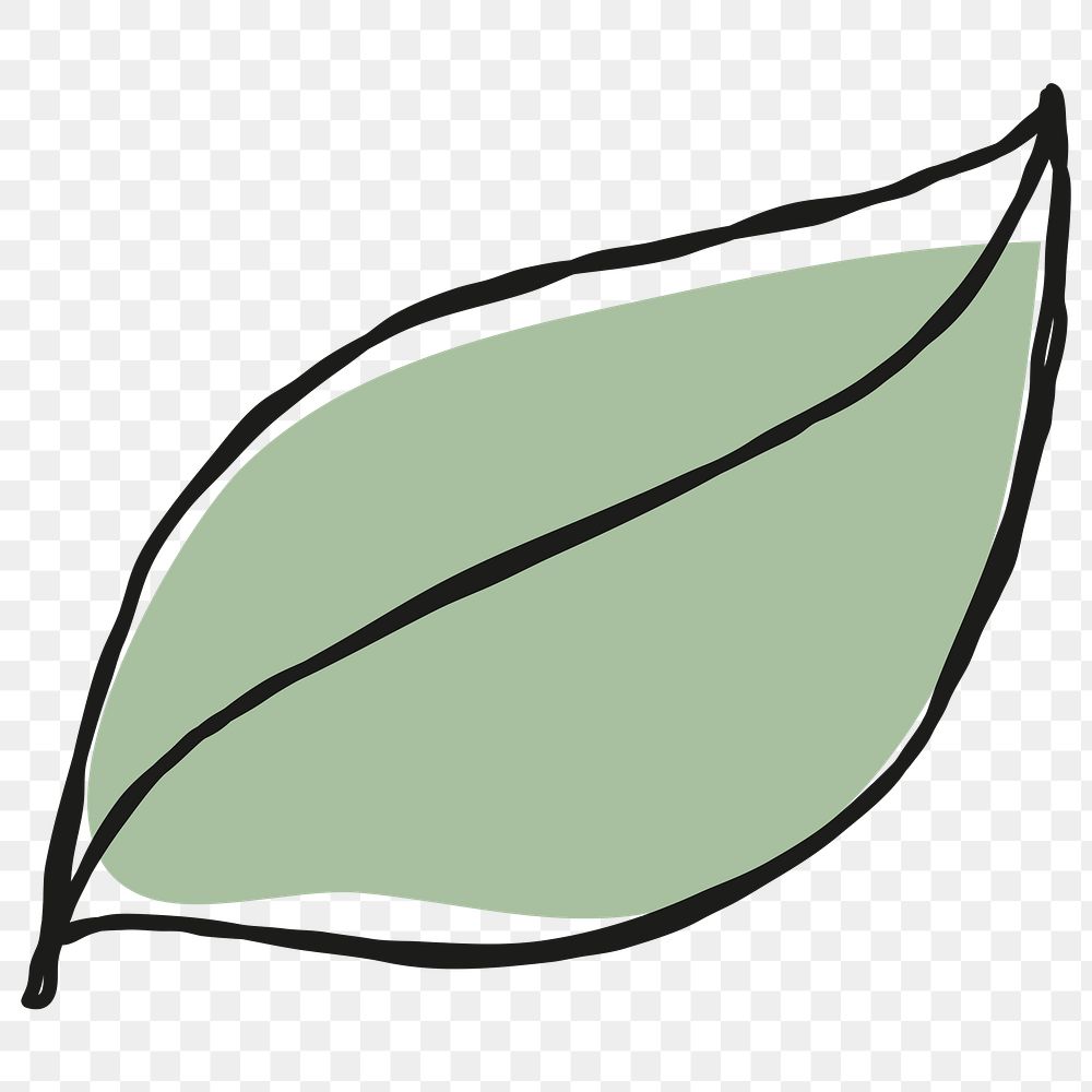 Green leaf transparent png clipart