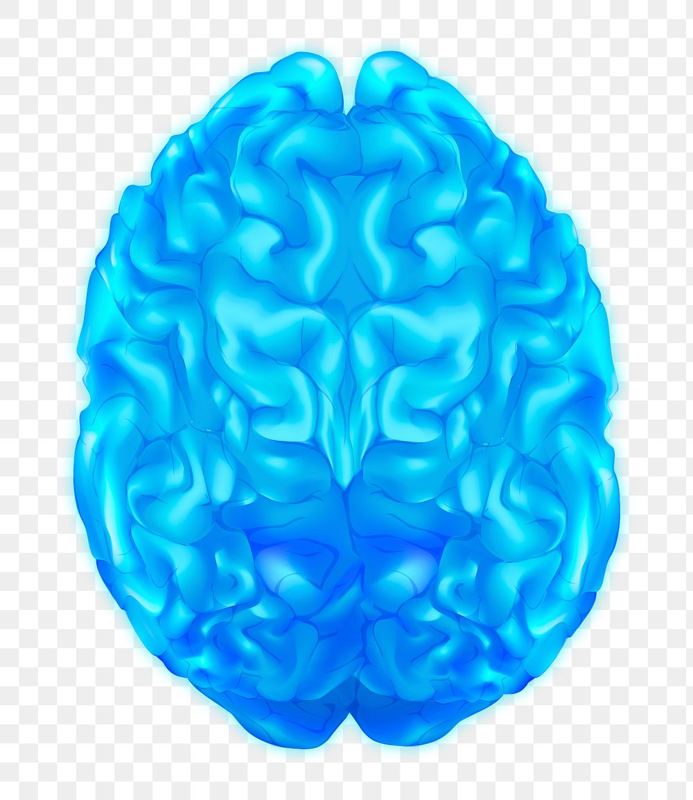 Png human brain illustration in blue