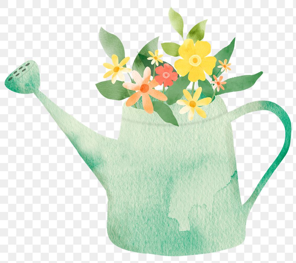 Png watering can with flowers design element