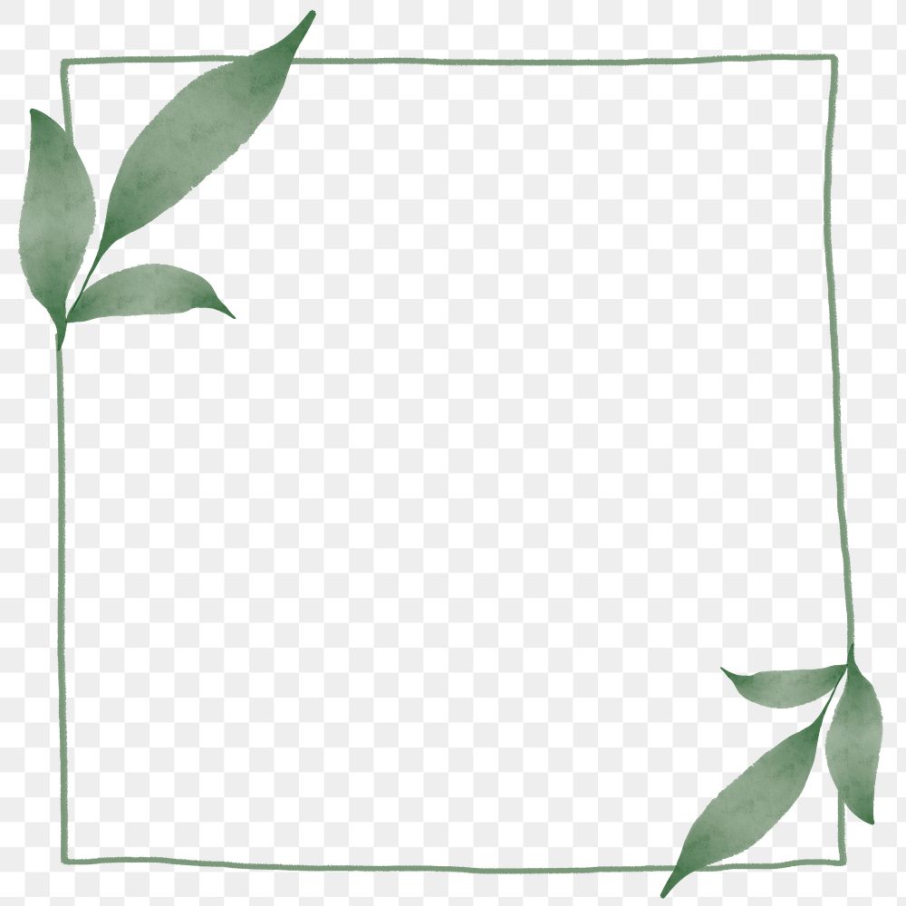 Png square frame with leaf design