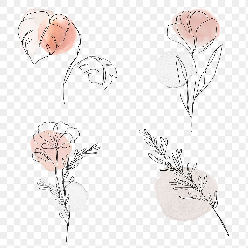 Flowers png pastel and black line art feminine illustration set