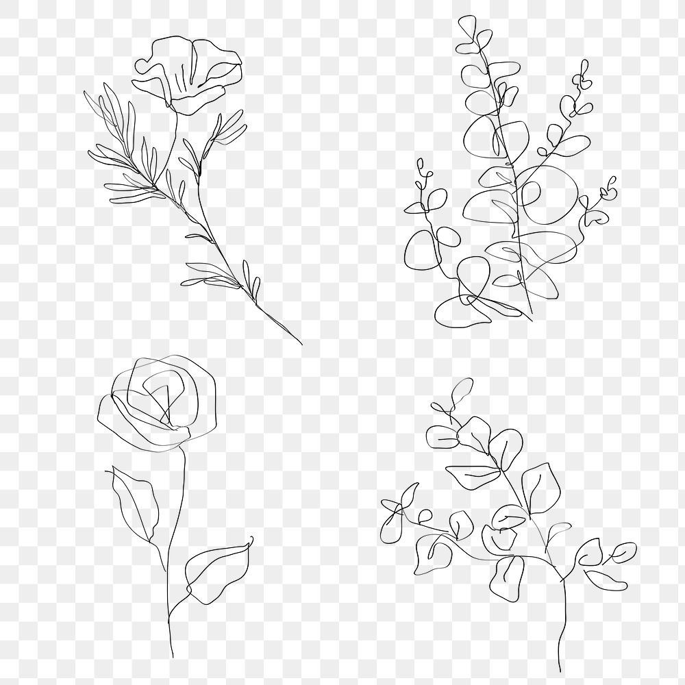 Png flowers minimal line art illustration collection