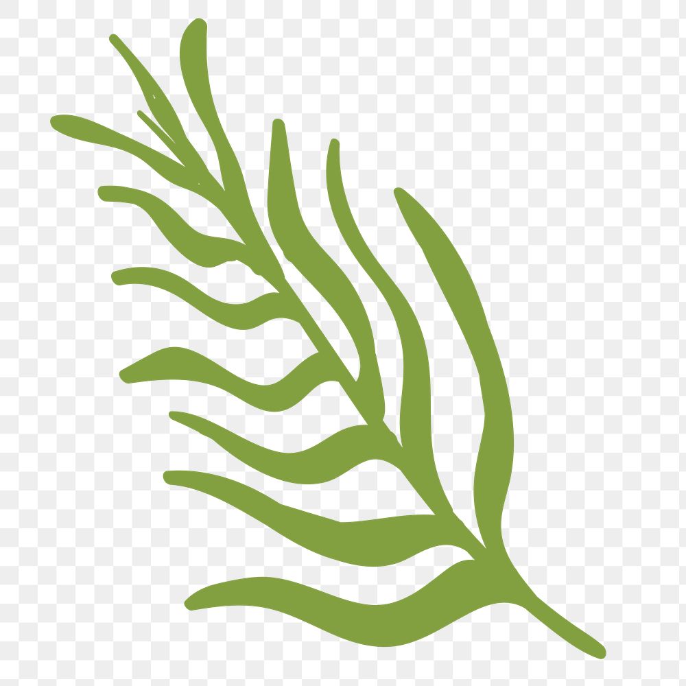 Green tropical leaf design element 