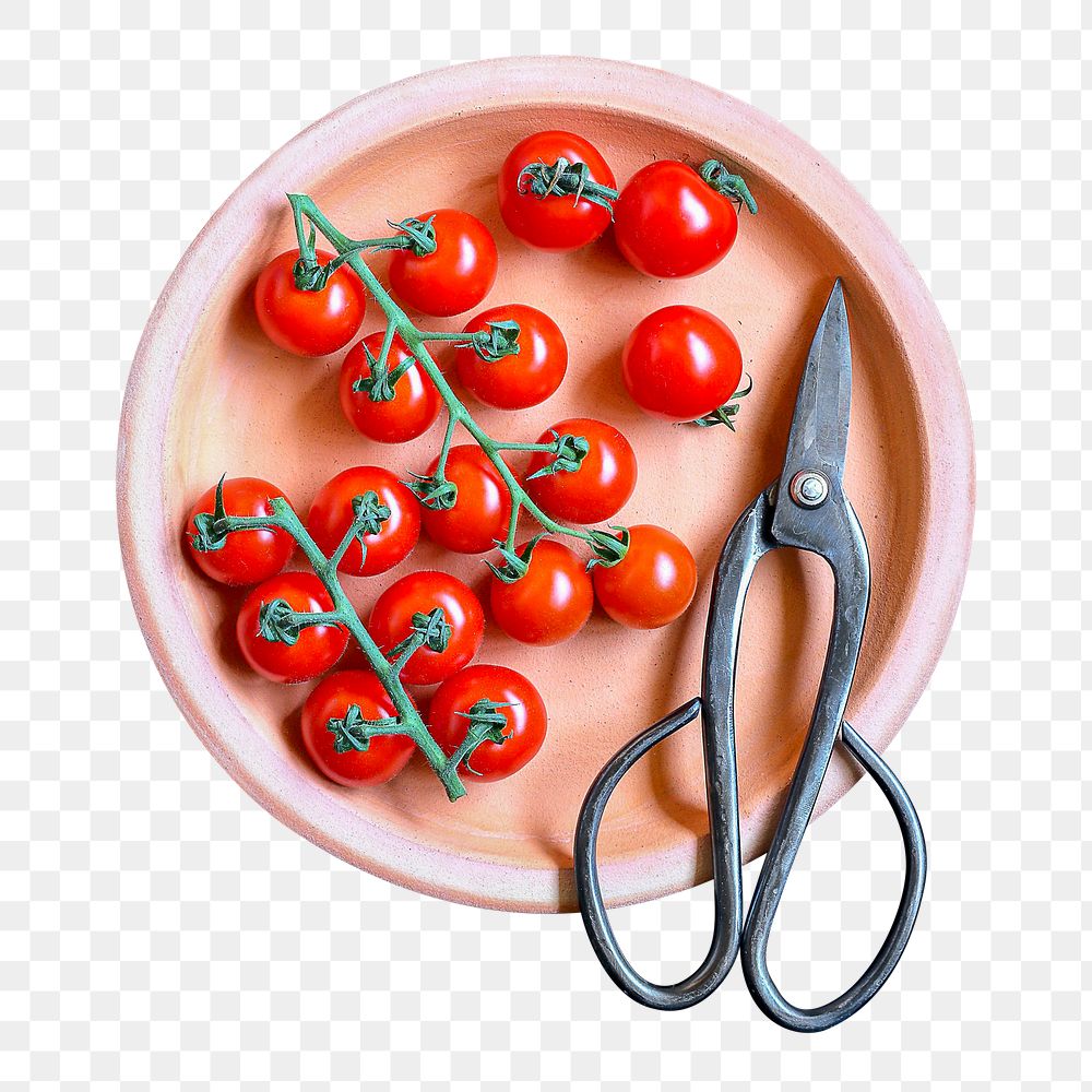 Png cherry tomatoes on plate, food photography, transparent background