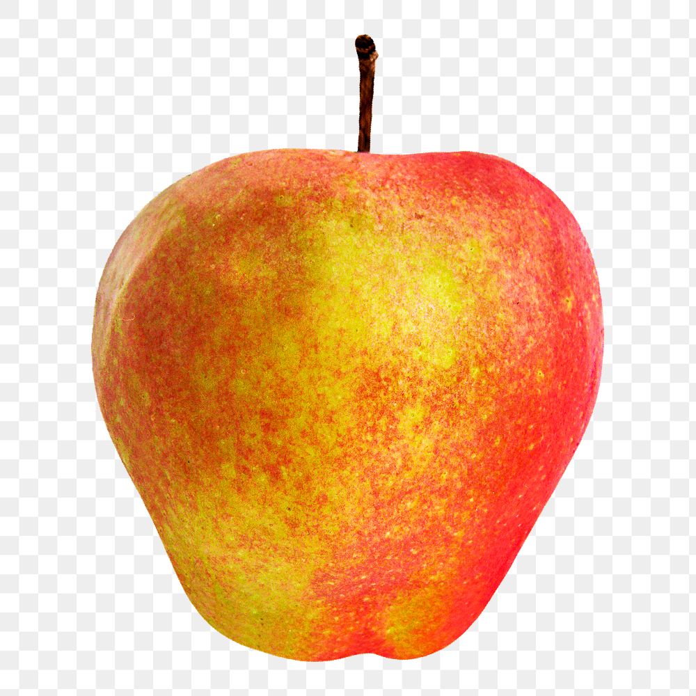 Organic apple png clipart, red fruit  on transparent background