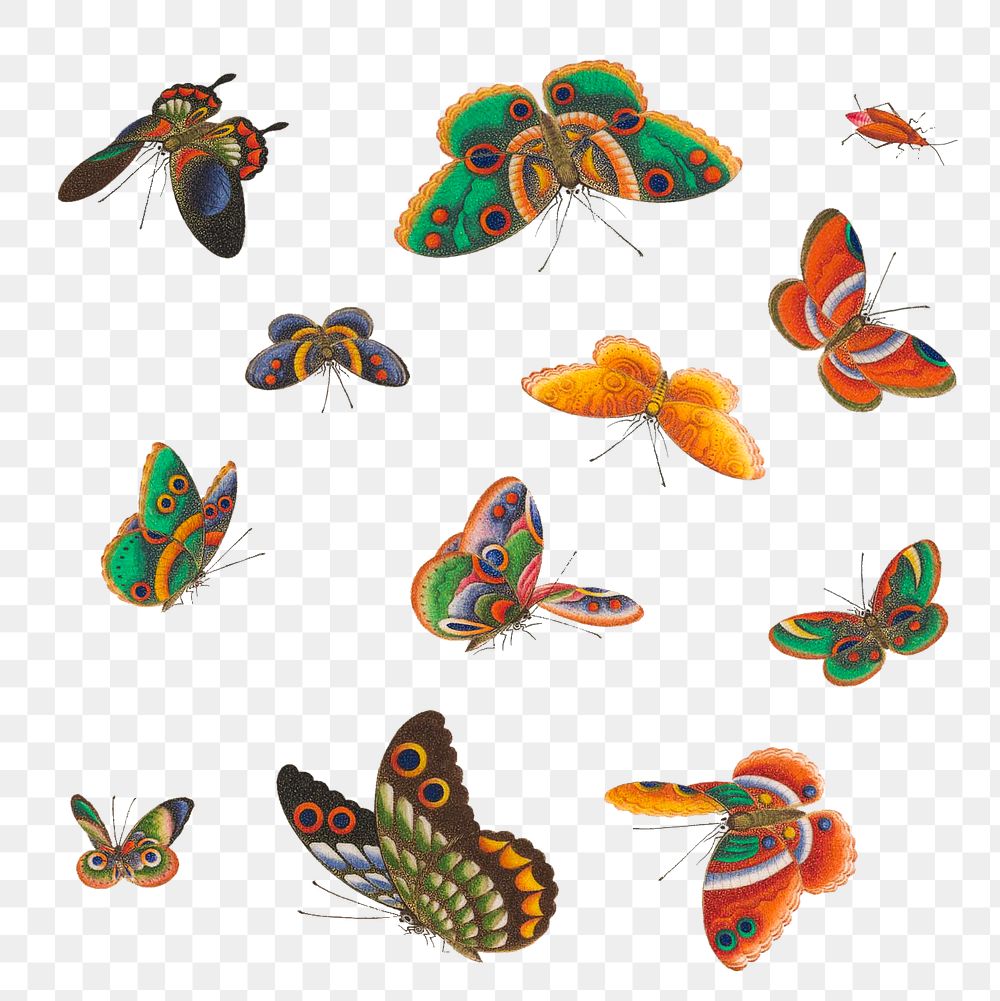 Vintage butterfly and insect illustrations transparent png