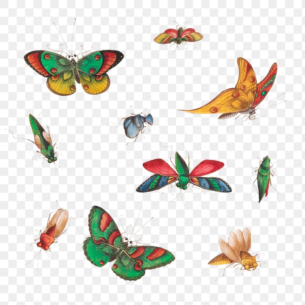 Vintage butterfly and insect illustration transparent png