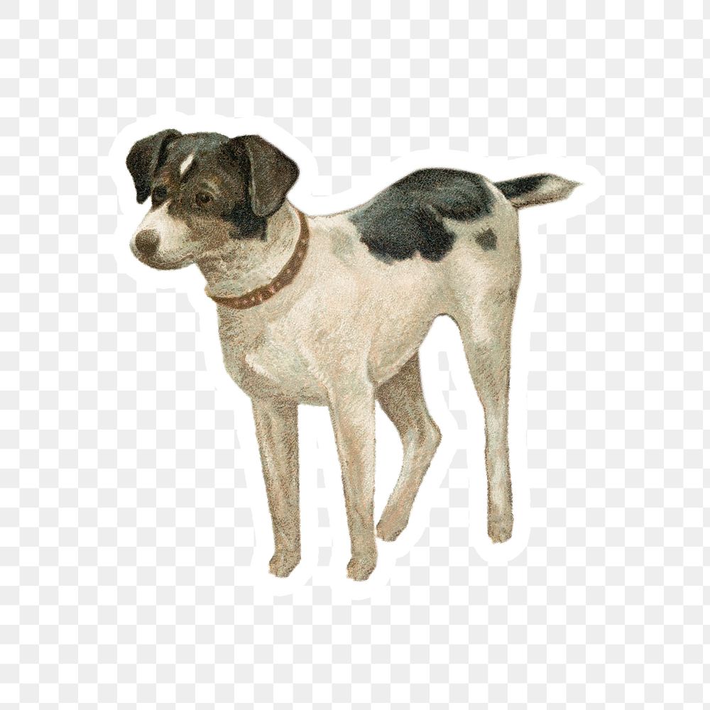 Vintage hand drawn dog sticker with white border