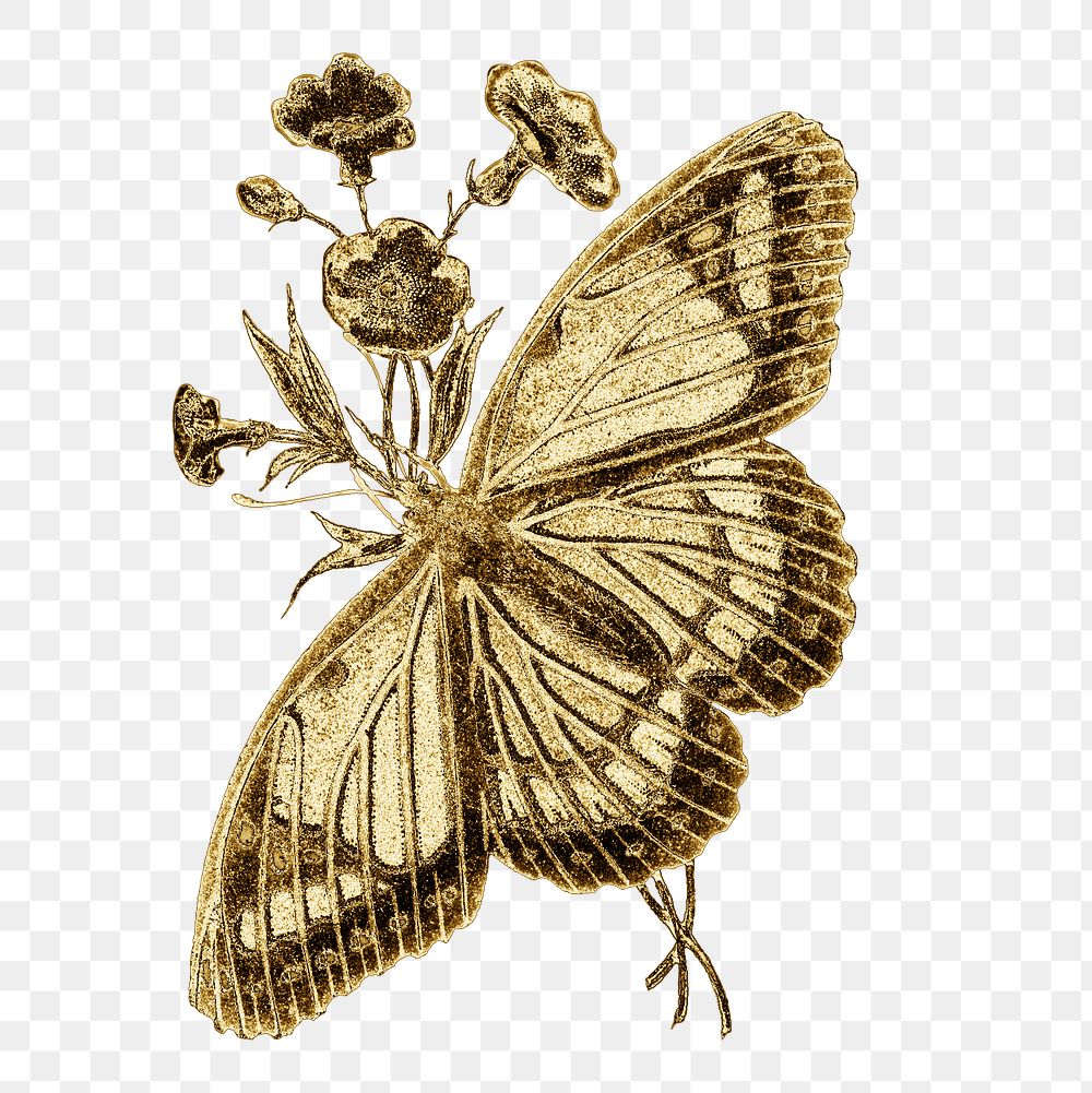 Vintage gold butterfly design element